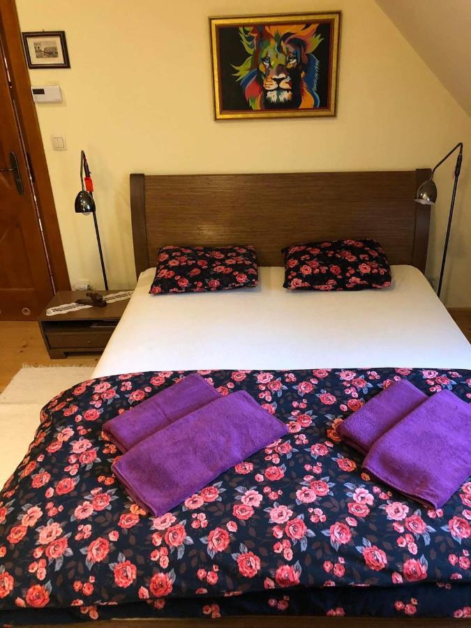 Willa Nad Popradem Bed & Breakfast Piwniczna-Zdroj Exterior foto