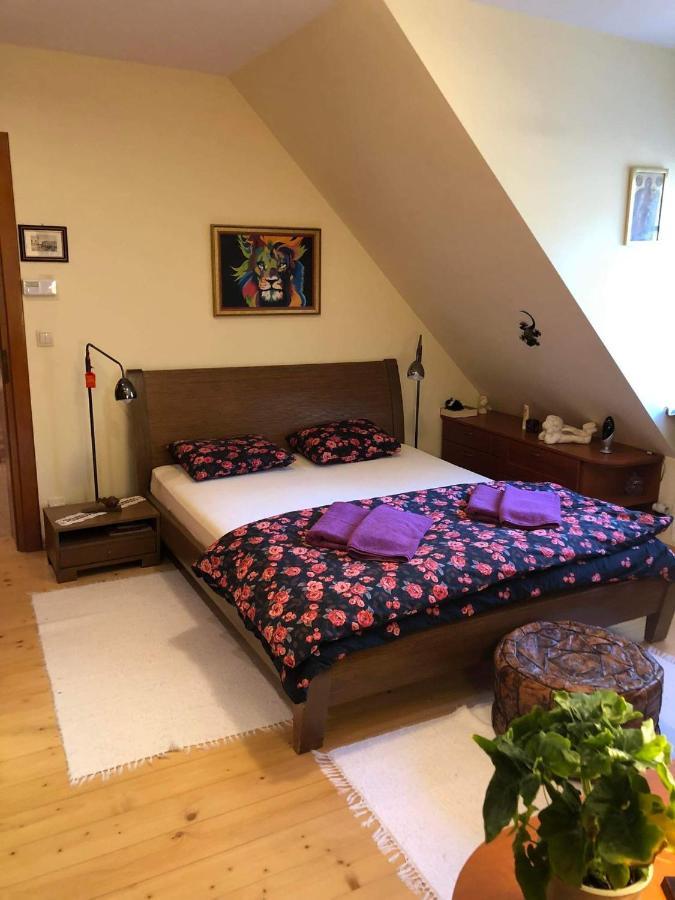 Willa Nad Popradem Bed & Breakfast Piwniczna-Zdroj Exterior foto