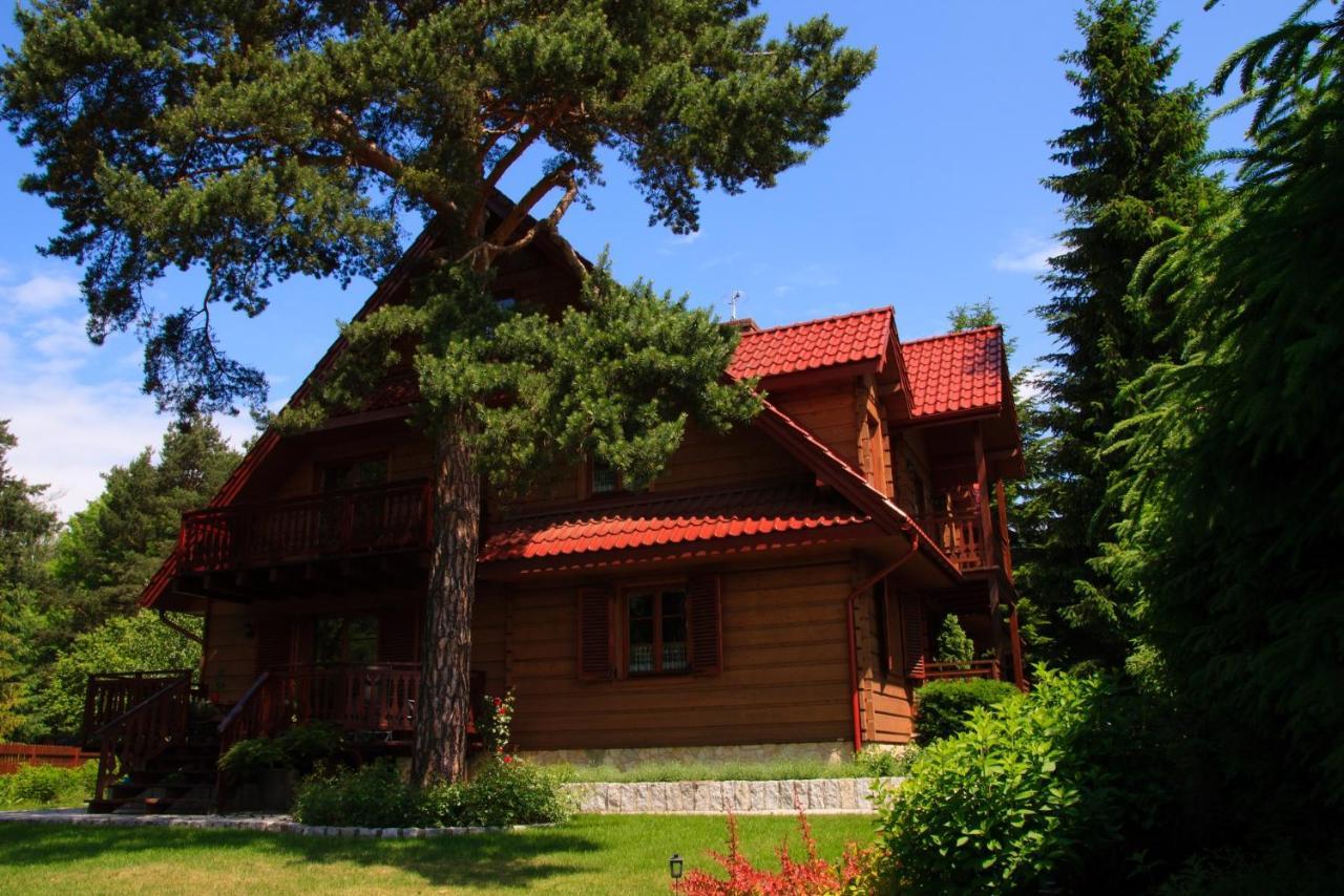 Willa Nad Popradem Bed & Breakfast Piwniczna-Zdroj Exterior foto